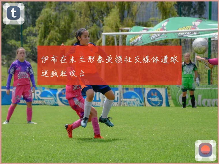 伊布在米兰形象受损社交媒体遭球迷疯狂攻击