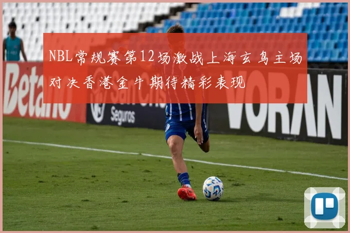 NBL常规赛第12场激战上海玄鸟主场对决香港金牛期待精彩表现