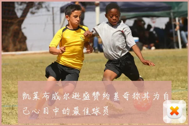 凯莱布威尔逊盛赞约基奇称其为自己心目中的最佳球员